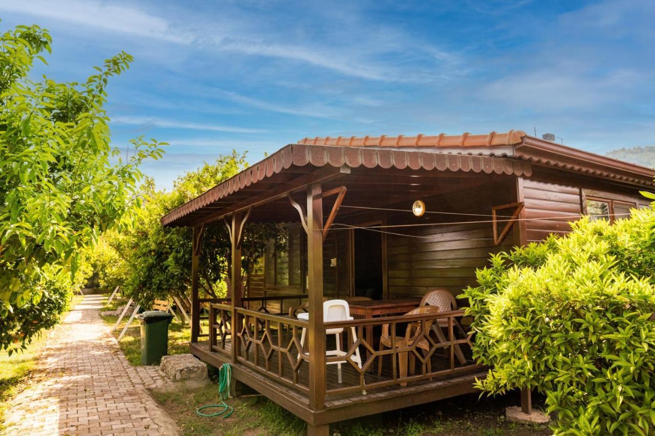 Çıralı Ikiz Villas מראה חיצוני תמונה