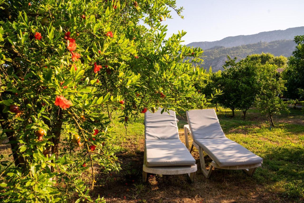 Çıralı Ikiz Villas מראה חיצוני תמונה