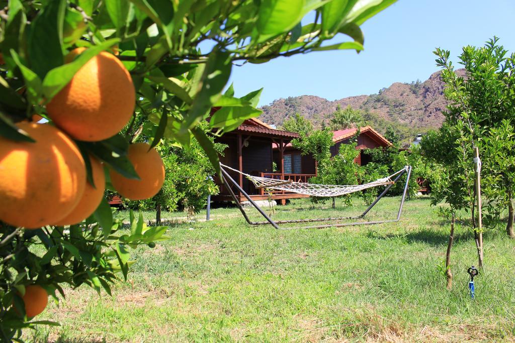 Çıralı Ikiz Villas מראה חיצוני תמונה