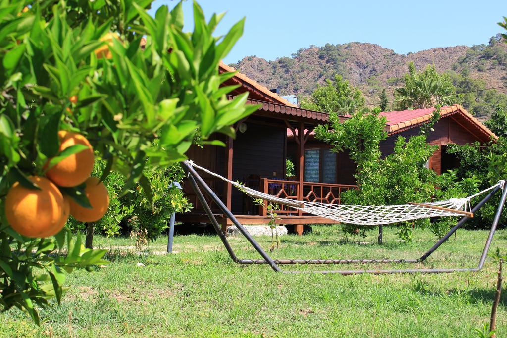 Çıralı Ikiz Villas מראה חיצוני תמונה