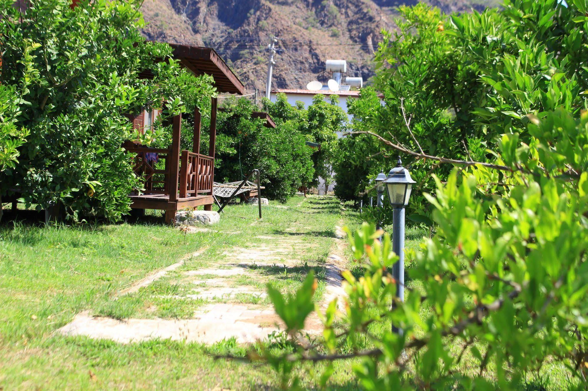 Çıralı Ikiz Villas מראה חיצוני תמונה