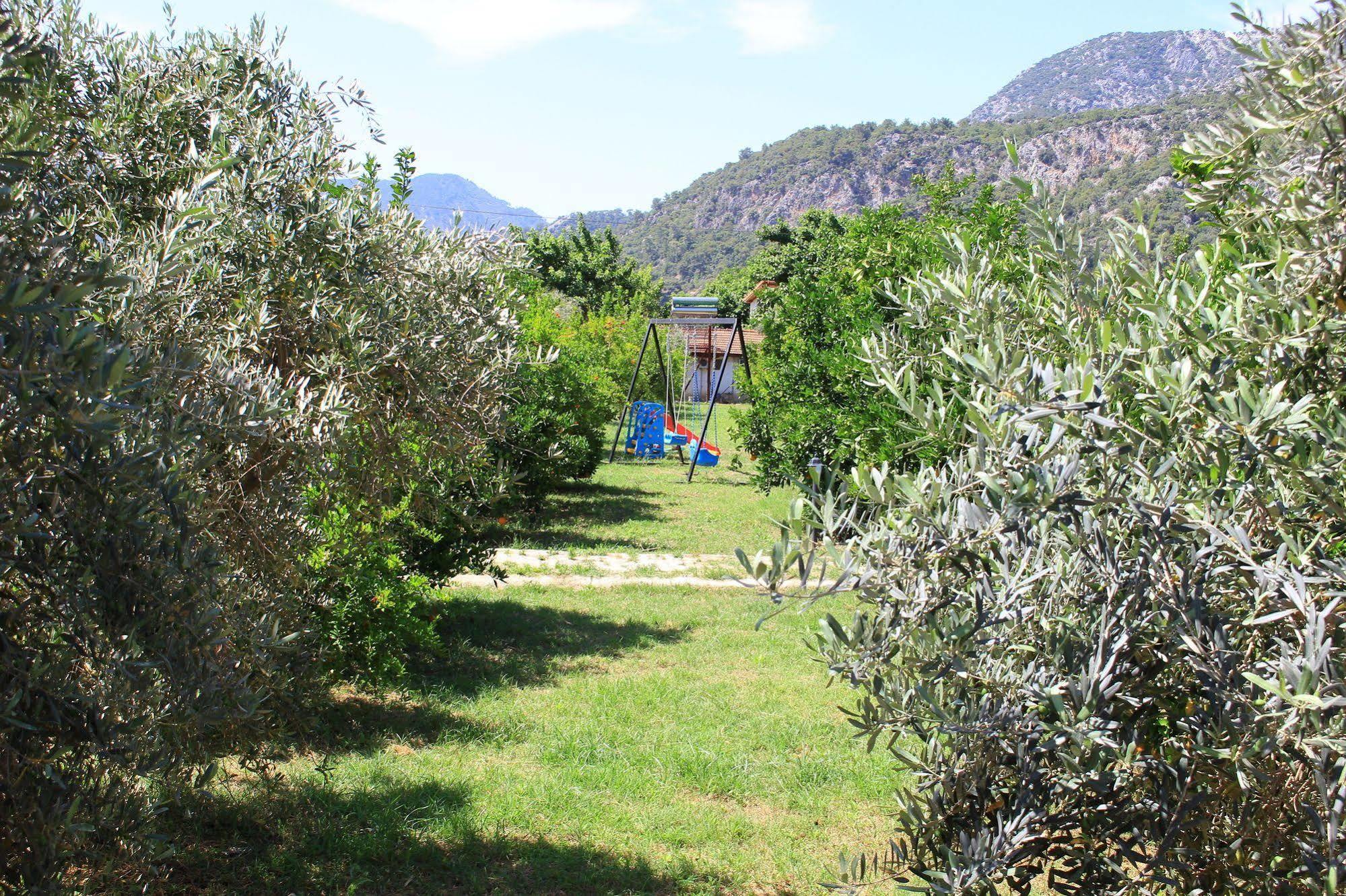 Çıralı Ikiz Villas מראה חיצוני תמונה